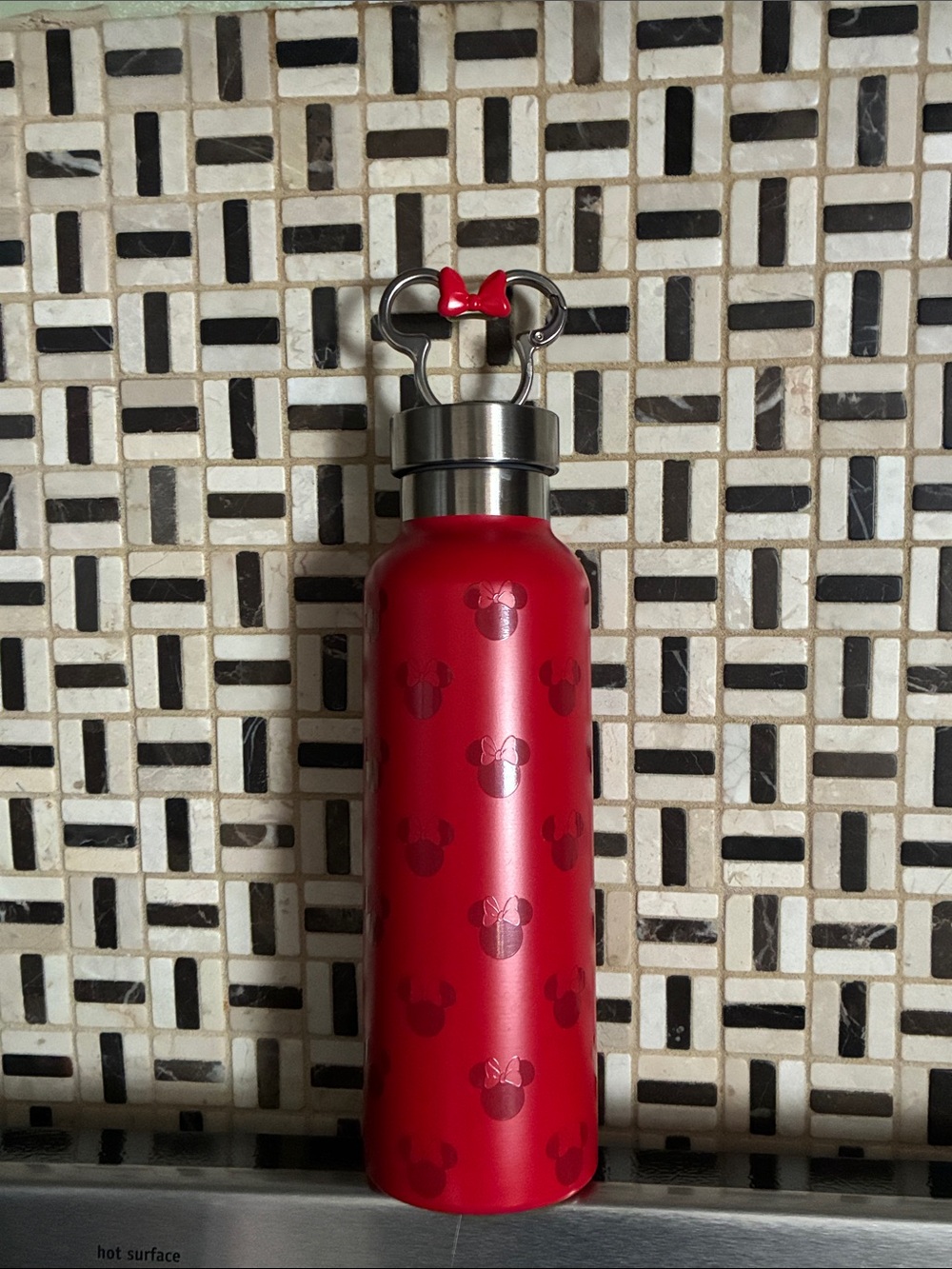 Minnie Mouse thermos